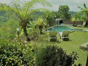Гостиница Shangrilah Villas  Baturiti
